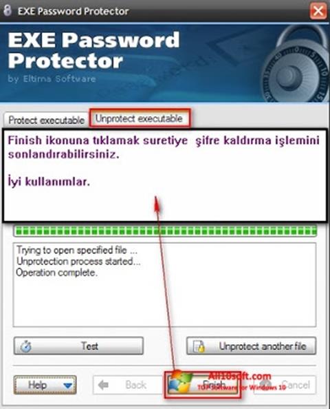 Screenshot EXE Password Windows 10